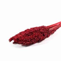 Sorgo Pink Desidratado p/ Decoração