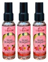 SORO REPARADOR DE PONTAS NUTRIÇAO CAPILAR ROSA MOSQUETA OMEGA 3 60ml MAX GOLDEN kit 3und SORO REPARADOR DE PONTAS NUTRIÇAO CAPILAR ROSA MOSQUETA OMEGA 3 60ml MAX GOLDEN kit 3und