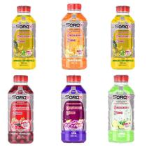 Sorox Isotonica Sem Açucar Sabores Sortidos 550ml com 6 unidades