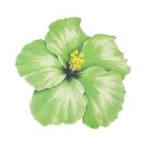 Sousplat De Papel Descartável Em Forma De Flor De Hibisco Havaiano 8 Peças Decoração De Mesa Para - ZQNYCY