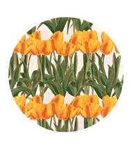 Sousplat Decorativo para Mesa Posta floral