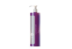 Southliss Silver Shampoo 1 Litro