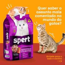 Spert cat adultos e filhotes frango e salmão