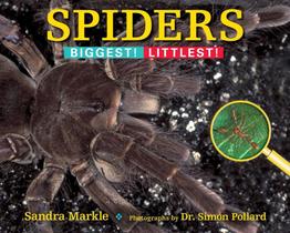 Spiders - HIG - HIGHLIGHTS