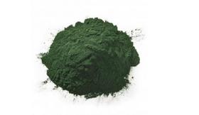 Spirulina em Pó- 300gr