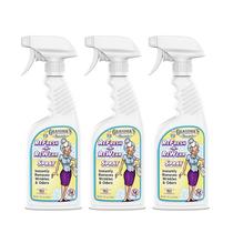 Spray antirrugas Grandma's Secret Refresh N ReWear 480 ml, pacote com 3 unidades Spray antirrugas Grandma's Secret Refresh N ReWear 480 ml, pacote com 3 unidades