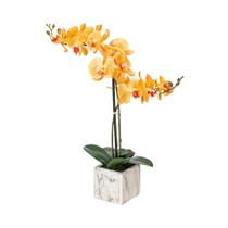 Spray Artificial de Orquídea Phalaenopsis Coral Vickerman Everyday 56 cm Spray Artificial de Orquídea Phalaenopsis Coral Vickerman Everyday 56 cm