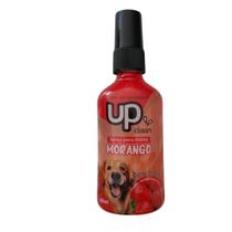 Spray Bucal Up Clean 80ml Cachorro Gato Cães Pet