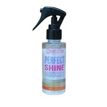Spray de Brilho Prata Perfect Shine Evolution 120ml Spray de Brilho Prata Perfect Shine Evolution 120ml