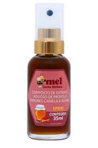 Spray de Mel e Própolis Canela e Romã 35ml Santa Bárbara Alívio para Garganta e Imunidade Natural Spray de Mel e Própolis Canela e Romã 35ml Santa Bárbara Alívio para Garganta e Imunidade Natural