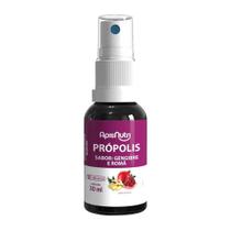 Spray de Própolis Sabor Gengibre e Romã ApisNutri 30ml