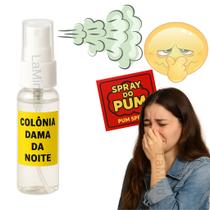 Spray de Pum Pegadinha Peido Fedido Fedorento Engraçado Fedo Spray de Pum Pegadinha Peido Fedido Fedorento Engraçado Fedo