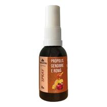 Spray Extrato de Própolis, Gengibre e Romã (35ml) - Natusday Spray Extrato de Própolis, Gengibre e Romã (35ml) - Natusday