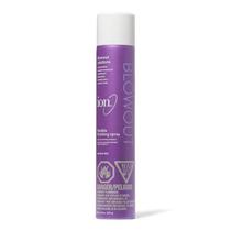 Spray Fixador Flexível ion 283g Secagem Rápida Spray Fixador Flexível ion 283g Secagem Rápida