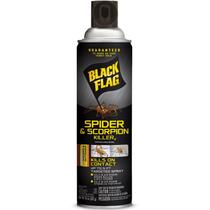 Spray Insecticida Black Flag para Arañas y Escorpiones 480 mL x12 Spray Insecticida Black Flag para Arañas y Escorpiones 480 mL x12