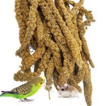 Spray natural de milho seco ao sol Bird Food kathson 500g