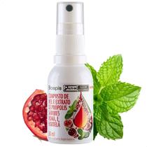 Spray Natural Mel e Própolis 30ml Romã e Hortelã