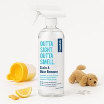 Spray natural para remover odores e manchas Good Life Solutions limpador sem perfume, seguro para crianças e animais de estimação, eliminador de odores ecológico e ecológico para casa, carpetes e estofados, 16 onças