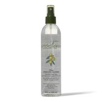 Spray para Cabelo Proclaim com Óleo de Oliva 355 ml Antifrizz Spray para Cabelo Proclaim com Óleo de Oliva 355 ml Antifrizz