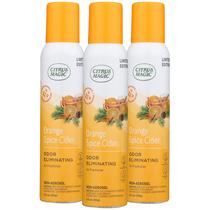 Spray purificador de ar Citrus Magic Orange Spice Cider 90mL x3
