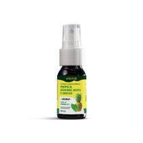 Spray vegano composto propolis gengibre abacaxi e hortela com b12 30ml Spray vegano composto propolis gengibre abacaxi e hortela com b12 30ml