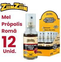 Sprayziin de Própolis Sabor Romã 30ML - Kit Com 12 Unidades