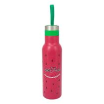 Squeeze Cantil Classic Inox Desfrute 500Ml