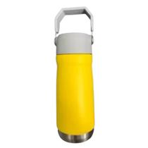 Squeeze Garrafa 650 ml Aço Inox Térmica com Canudo
