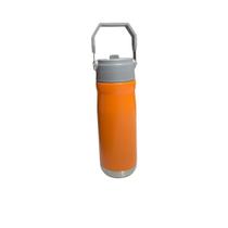 Squeeze Garrafa 650 ml Aço Inox Térmica com Canudo