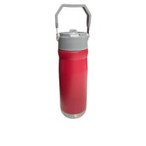 Squeeze Garrafa 650 ml Aço Inox Térmica com Canudo