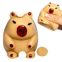 Squishy Capivara Apertar Anti-Stress Tiktok Mole Antistress