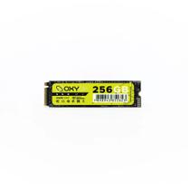 Ssd m2 256gb oxybr
