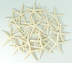 Starfish Decor Nautical Crush Trading, 20 unidades, 5-8 cm, branco