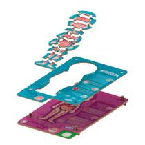 Steam Corpo Humano Steam Corpo Humano