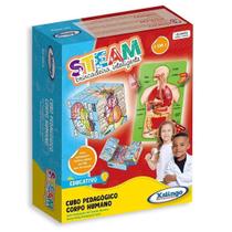 Steam Cubo Corpo Humano Brinquedo Educativo Biologia Steam Cubo Corpo Humano Brinquedo Educativo Biologia