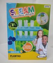 Steam Plantas - Xalingo