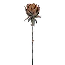 Stem artificial Protea Stem Vickerman 94 cm laranja, pacote com 2