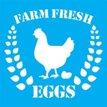 Stencil 14x14cm TK0017 Farm Eggs Toke de Arte