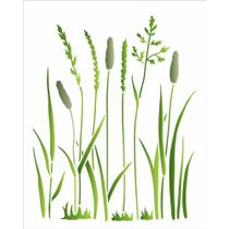 Stencil de Acetato para Pintura OPA Simples 20 X 25 Cm - 3364 Grama Selvagem