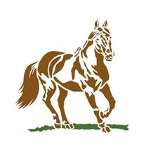 Stencil Especial Pintura Cavalo 21,1x17,2 Stm-175 - Litoarte