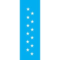 Stencil Opa 10 x 30 cm - Estrela Grande - 020