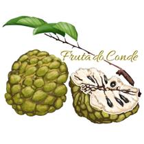 Stencil Pintura Fruta Do Conde Str-188 20x25 Litoarte