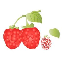 Stencil Pintura Fruta do Conde Stxx-215 20x20cm Litoarte