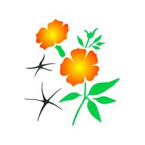 Stencil Simples Flor Petúnia Opa2276 20x25