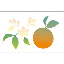 Stencil Sp. 07x15 1959 Flor Laranjeira