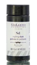 Styling Dust Salerm Homme 9mL