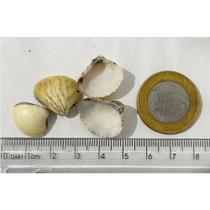 Substrato Aragonita Concha N4 1Kg Aqua Pedras