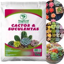 Substrato Cactos E Suculentas 2 Kg Mogifertil