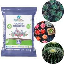 Substrato Cactos e Suculentas 3 kg Calterra