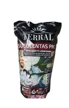 Substrato cactos e suculentas pro 3 l - terral
